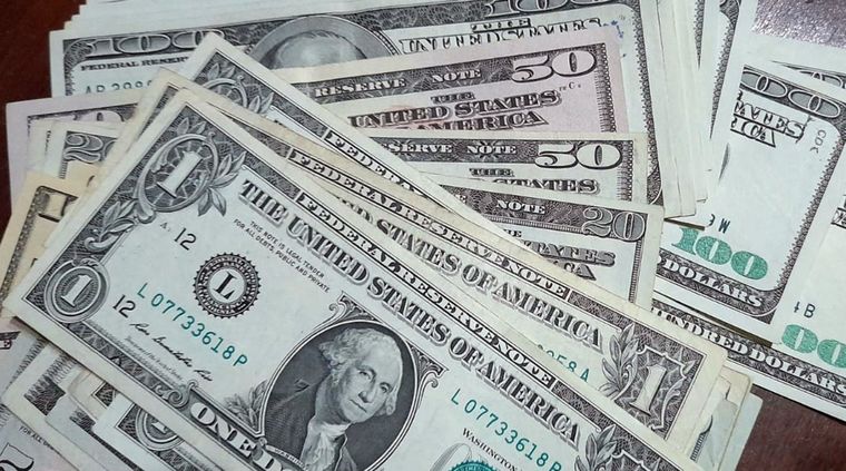 El dólar blue abre la semana pre PASO con récord Foto: ALF PONCE MERCADO / MDZ