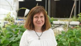 La científica Raquel Chan, destacada a nivel mundial. Foto Gentileza Fundación Bunge y Born La científica Raquel Chan, destacada a nivel mundial. Foto Gentileza Fundación Bunge y Born