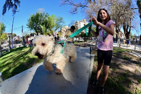 El nuevo espacio estará ubicado en el Parque Margarita Malharro de Torres y contará con servicios gratuitos para perros y gatos. El nuevo espacio estará ubicado en el Parque Margarita Malharro de Torres y contará con servicios gratuitos para perros y gatos.