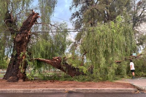 El Gobierno provincial confirmó que no hubo víctimas tras el temporal de este viernes.
