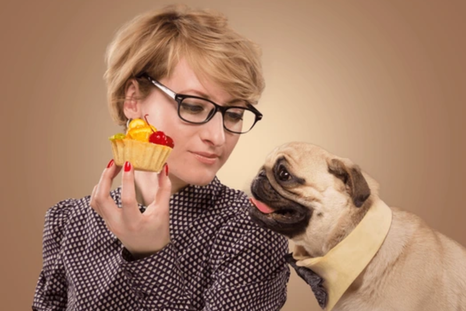 Hay alimentos que consumimos que están prohibidos para que ingieran los perros. Foto: Shutterstock