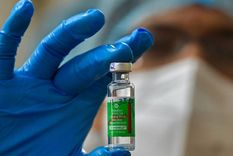 Covishield, la vacuna india que autorizó el Gobierno para que se aplique en Argentina