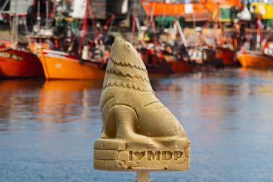 MDZol | Las paletas de helado lobito que se consiguen en cuatro sabores Foto: Gentileza Ibiza