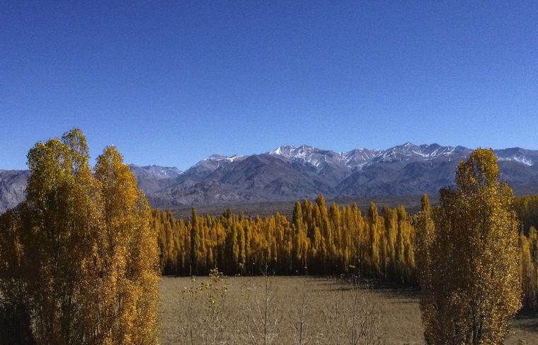El tipo de cambio en Argentina atrae a los turistas chilenos Foto: Telam