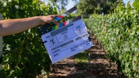 La historia detrás de la Vendimia de 2021.