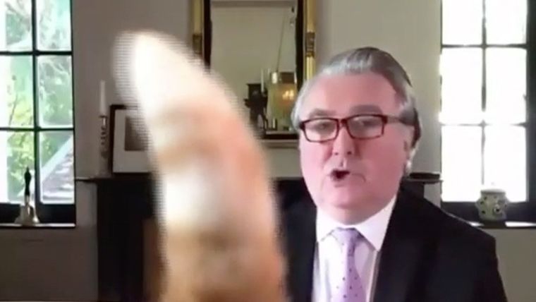 John Nicolson durante su videoconferencia. Foto: Captura de pantalla