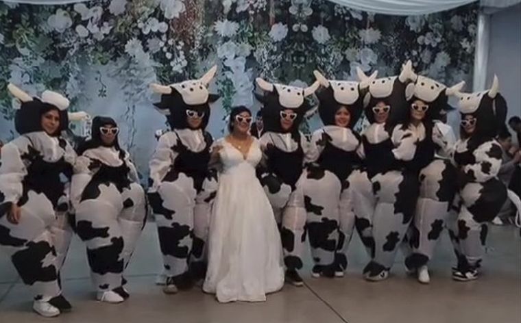 El video viral acumuló más de 160 mil reacciones. Foto: Archivo