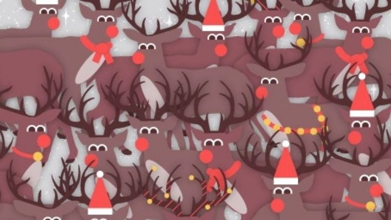 Acertijo visual, reto visual, petirrojo Pinterest Foto: Archivo MDZ