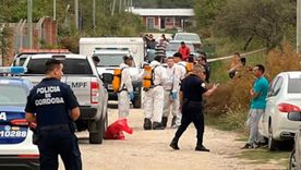 La mujer fue sobreseída por el crimen de sus dos hijos con discapacidad por la Justicia, al entender que atravesaba un cuadro psicótico, agravado por aislamiento y el fanatismo religioso.