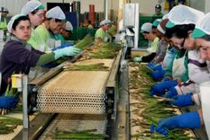 las mujeres son el sosten economico del 55% de los hogares vulnerables