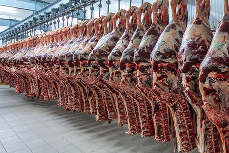 Exportaciones de carne vacuna Exportaciones de carne vacuna