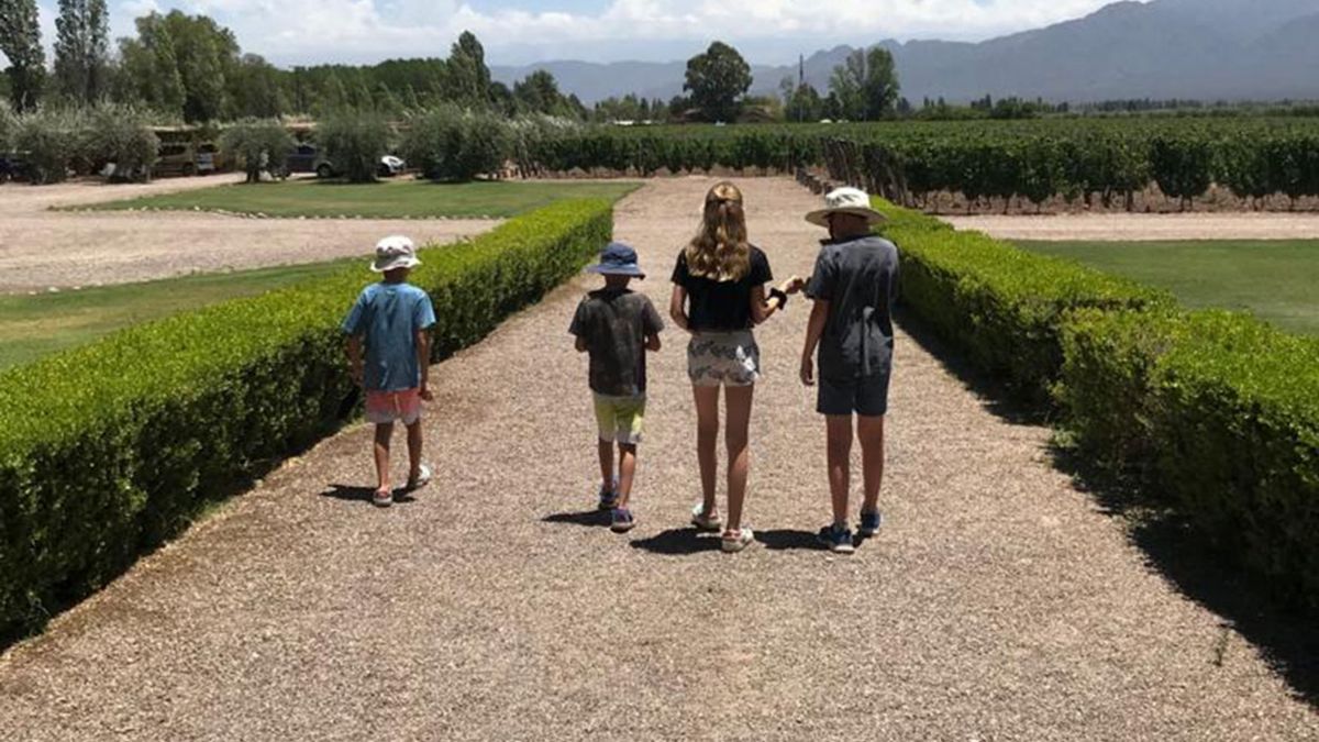 La <b>Inteligencia Artificial</b> reveló cuál es el mejor departamento para vivir en Mendoza thumbnail