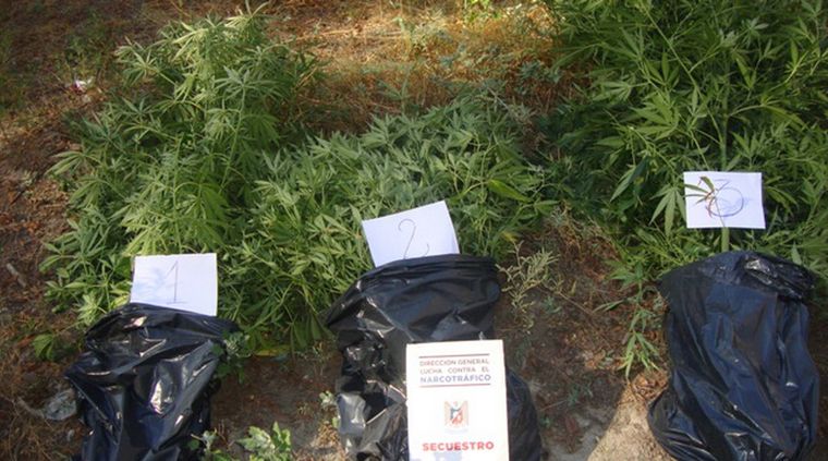 Foto: Gentileza prensa Ministerio de Seguridad