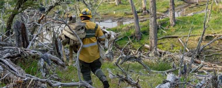 Los bomberos y brigadistas lograron contener el avance de los incendios en la reserva natural.