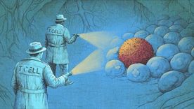 es increible, como ciencia ficcion: los nuevos tratamientos con inmunoterapia que estan eliminando el cancer