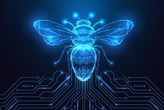 Los científicos aprendieron de millones de años de evolución de las abejas melíferas para construir Internet tal y como lo conocemos.