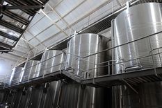 El Instituto Nacional de Vitivinicultura sigue avanzando en su objetivo por flexibilizar la industria del vino Foto: ALF PONCE MERCADO / MDZ