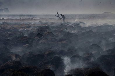 MDZol | Foto: Télam