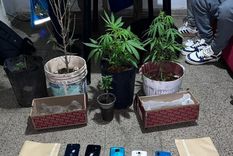 Dos hombres y dos mujeres fueron detenidos tras robar celulares en fiestas electrónicas Foto: NA Dos hombres y dos mujeres fueron detenidos tras robar celulares en fiestas electrónicas Foto: NA