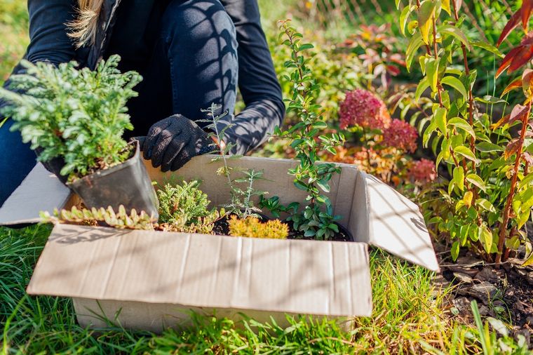 Tareas para realizar en tu jardín en esta época donde despedimos al invierno y recibimos la primavera. Foto: SHUTTERSTOCK
