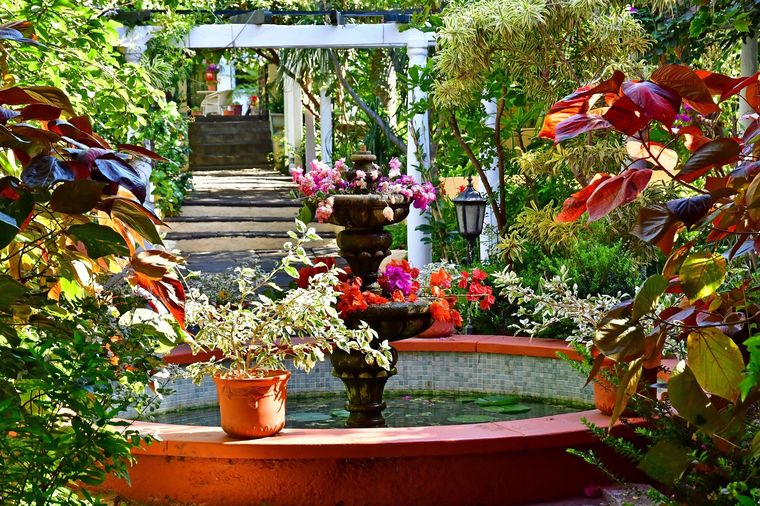 flores El jardín del amor. Foto: Fuente: Shutterstock