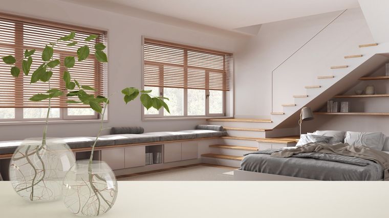 Plantas de interior que crecen en agua y decoran sin esfuerzo. Foto: Shutterstock