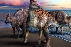 Yamatosaurus izanagii, el Pico de Pato. Foto: SamacharCentral.