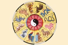 Hay seis signos del zodíaco que encontraran a su media naranja este mes