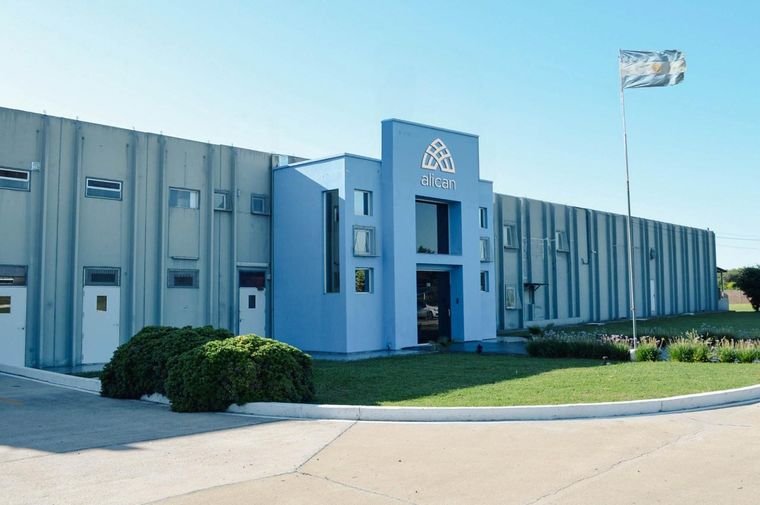 Alican, la empresa argentina de alimento para mascotas, pronostica un crecimiento importante del alimento para gatos. Alican, la empresa argentina de alimento para mascotas, pronostica un crecimiento importante del alimento para gatos.