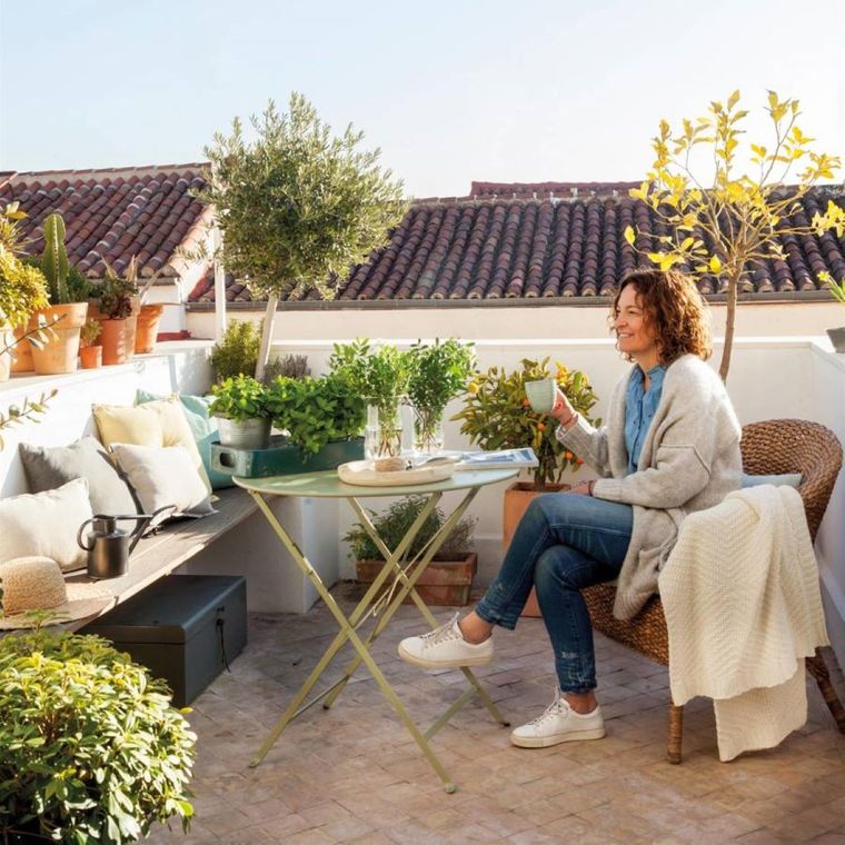 Estas plantas embellecen tus espacios. Foto: Archivo