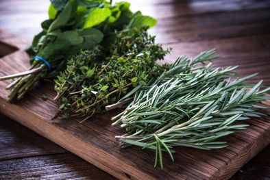 MDZol | Esta hierba aromática cuanta con diversas propiedades beneficiosas para la salud Foto: Shutterstock