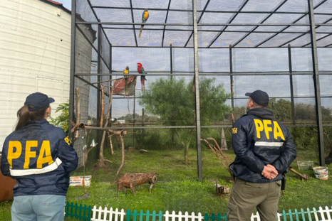 En el zoológico había animales en peligro de extinción y que se encuentran protegidos por la ley Foto: NA En el zoológico había animales en peligro de extinción y que se encuentran protegidos por la ley Foto: NA