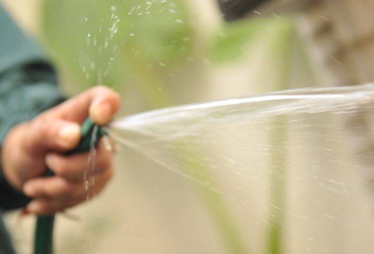 En noviembre se labraron 405 multas por regar fuera de hora. Foto: Marcelo Ruiz /MDZ