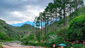 Este pueblo enamora con sus bosques y ríos Foto: Turismo en Argentina