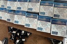 La Aduana informó que fueron secuestrados más de mil paquetes con anabólicos en un puesto de la Triple Frontera Foto: NA