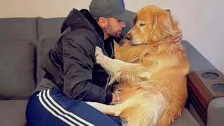 Los perros sin lugar a dudas son los mejores amigos de los humanos Foto: Instagram João Fantazzini