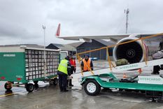 La desregulación aérea avanza y el sector de servicios de rampa es uno de los que más cambios está generando.