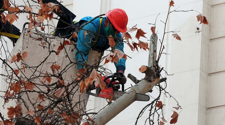 Foto: ALF PONCE MERCADO / MDZ