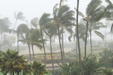 huracanes LOS CICLONES TROPICALES PODRÍAN EMPEZAR EN JUNIO EN LAS ZONAS MÁS PROPENSAS A TENERLOS Foto: SHUTTERSTOCK