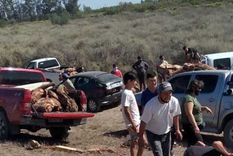 imputaron a tres personas por hurtar carne de un camion accidentado
