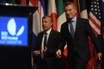 MDZol | Foto: Gentileza