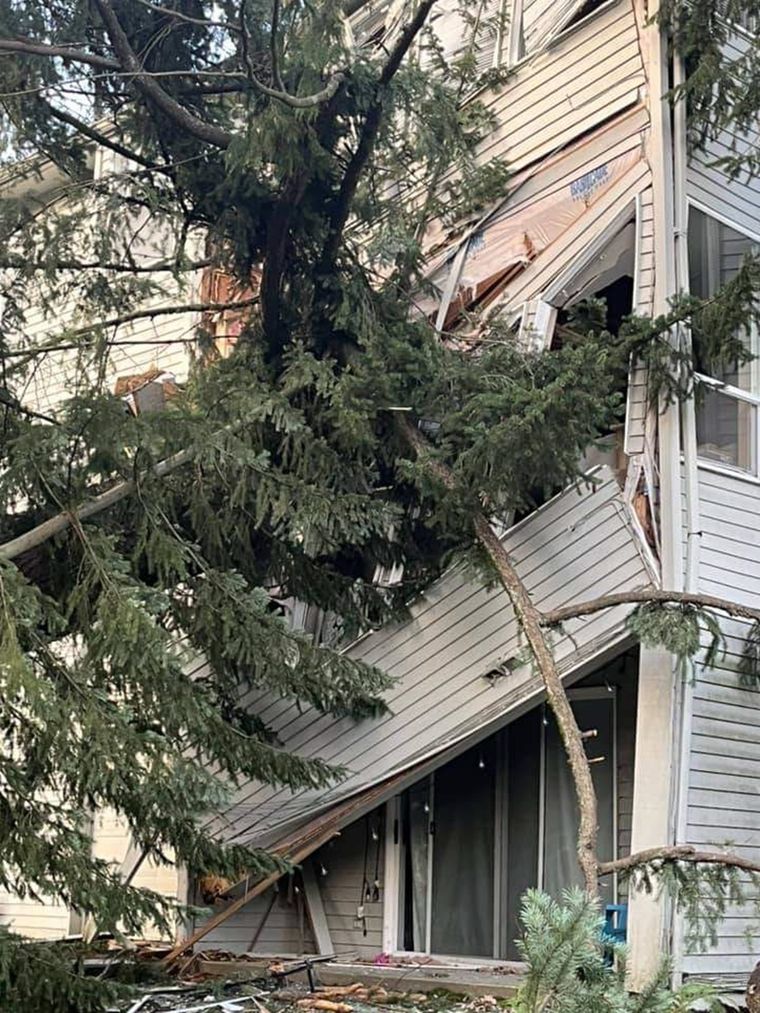 Destrucción en distintos puntos del noroeste de los Estados Unidos por el ciclón bomba Foto: X