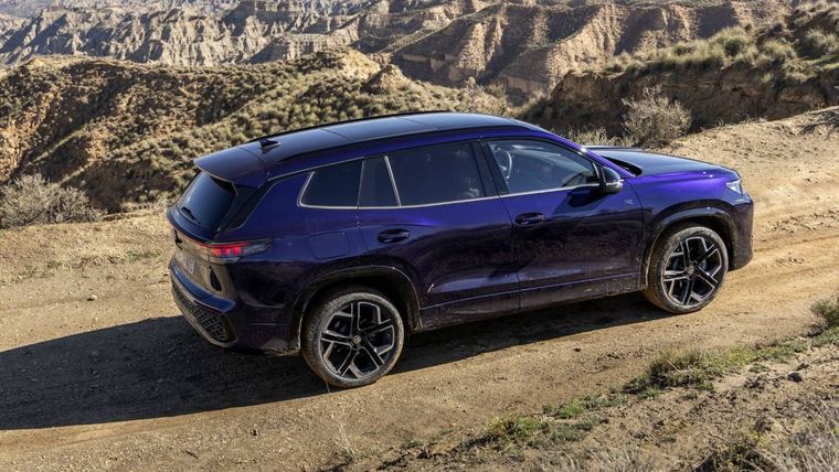 l Tayron compite en el segmento de los SUV, cuyas ventas se multiplicaron por tres entre 2014 y 2024, representando ya el 60% de las ventas totales en el mercado español.