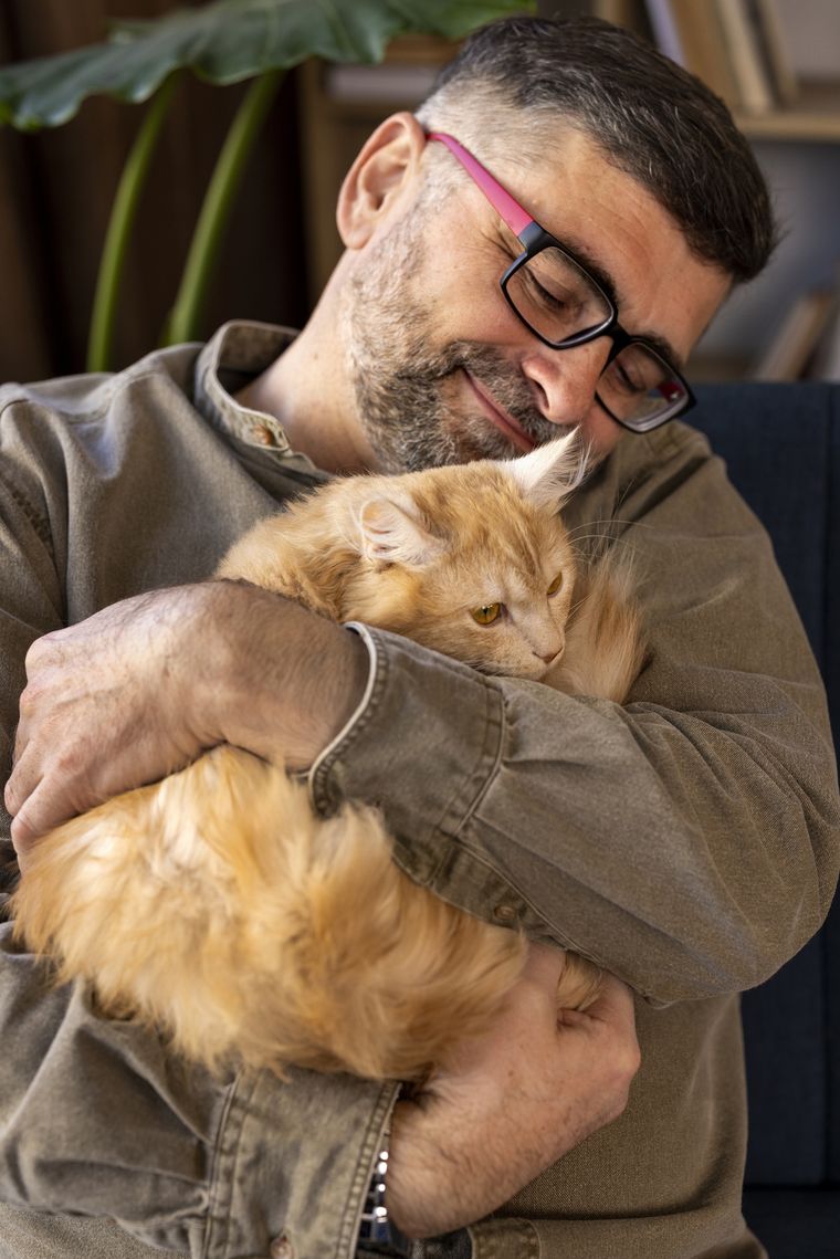 A los gatos les encanta recibir cariño, aunque parezca lo contrario. A los gatos les encanta recibir cariño, aunque parezca lo contrario.