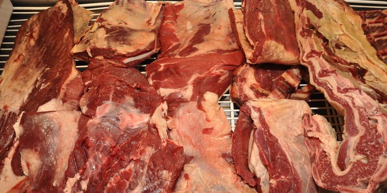 Foto: Pablo Matar/Mediamza.com