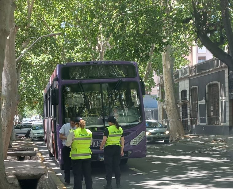 Foto: Federico Lagiglia/MDZ