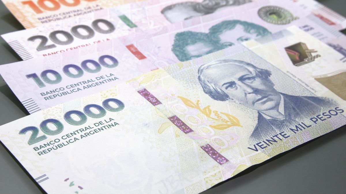 Anses: hoy jueves 28 de agosto finaliza el calendario de pagos de agosto