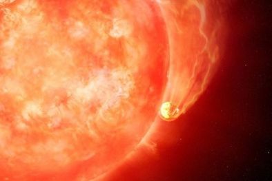 MDZol | La recreación de un artista del momento en el que una estrella devora un planeta. Foto: PA MEDIA