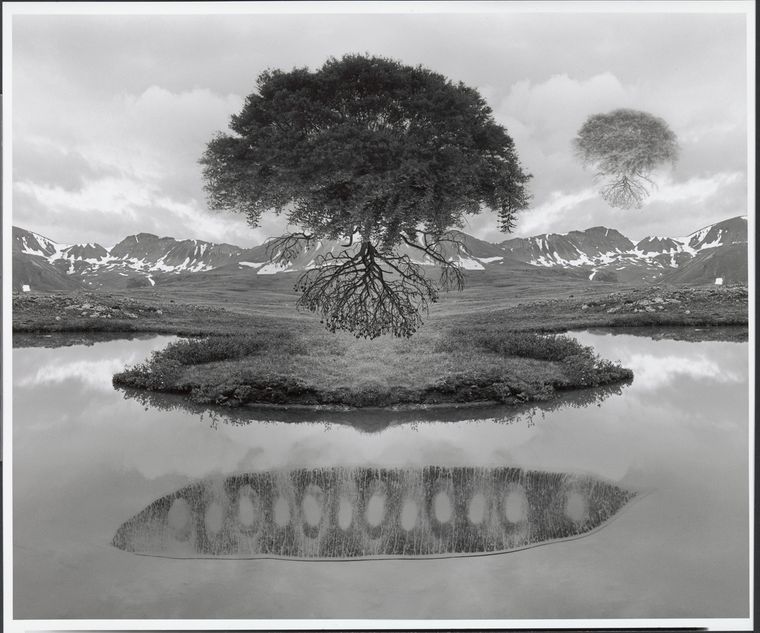 Foto: metmuseum.org