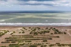 Esta playa agreste es ideal para conectar con la naturaleza Foto: archivo MDZ